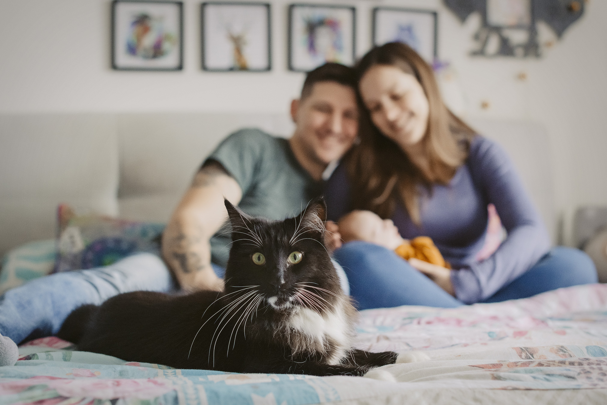 schwanger in hessen bauchbilder schwangerenbilder schwangerenfotografie hessen wetterau babybilder familienfotos katze mit familie